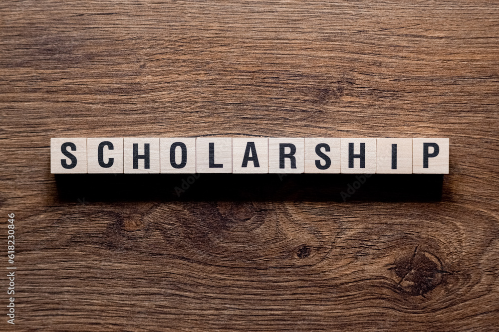 Scholarship - word concept on building blocks, text Scholarship - word concept on building blocks, text