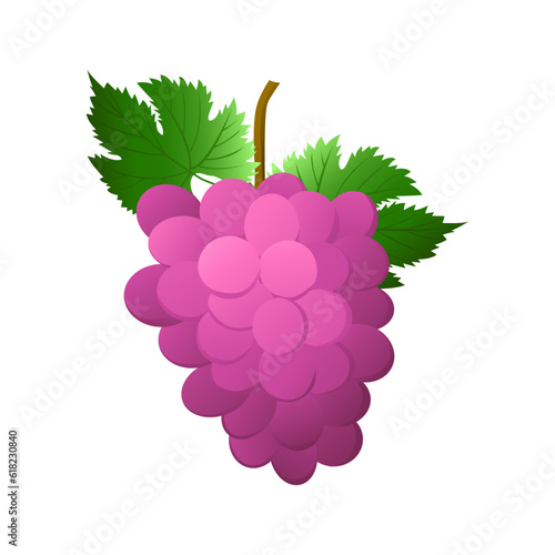 Pink or purple grape bunch with berries and leaves isolated on white background. For nature or healthy vitamin food design. Vector illustration