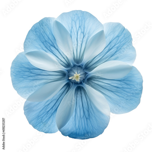 blue flower isolated on transparent background cutout