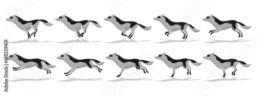 Dog running animation with different creature movements. Doggy poses in movement. Character move for games, cartoon or video. Flat vector illustration