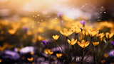 Yellow and blue flowers on a blurred summer background