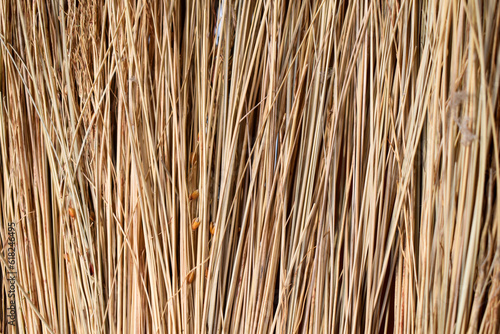 Detailed texture of Straw.