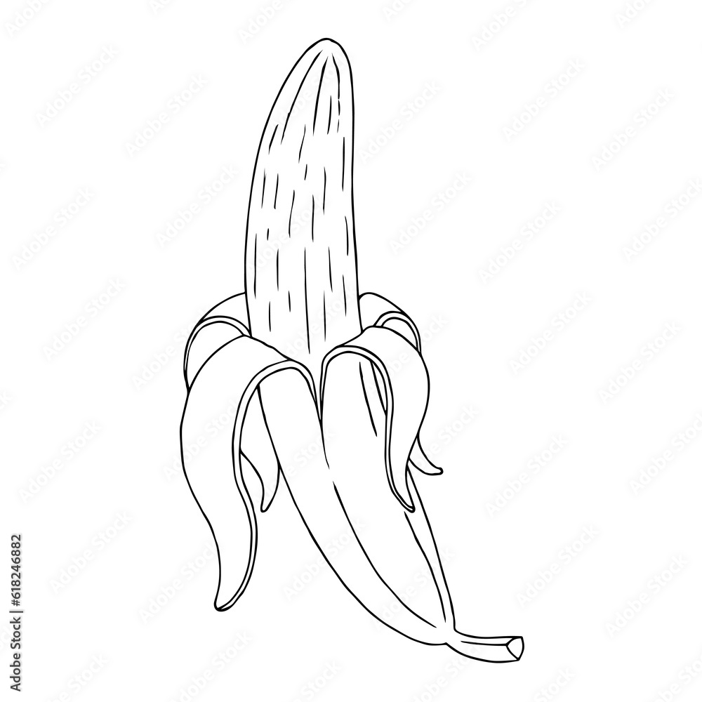 A half-peeled banana. Hand Drawn. Freehand drawing. Doodle. Sketch. Outline. Coloring book. A half-peeled banana. Hand Drawn. Freehand drawing. Doodle. Sketch. Outline. Coloring book.