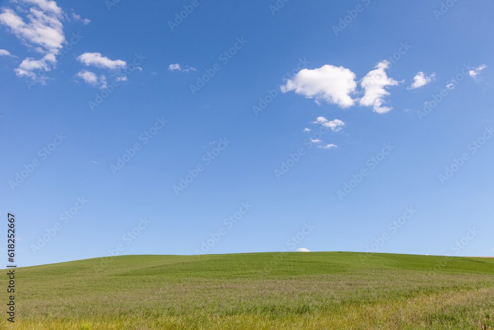 Beautiful sunny meadow landscape with blue sky and small clouds. Beautiful sunny meadow landscape with blue sky and small clouds.