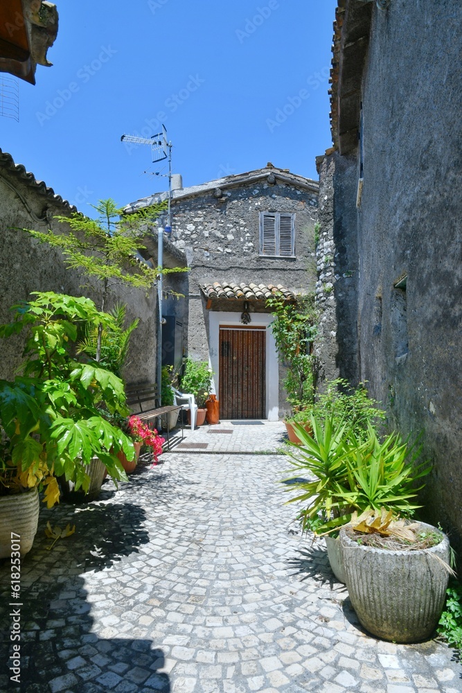 Fototapeta premium A street between old houses Olevano Romano, a medieval town in the province of Rome, Italy. 