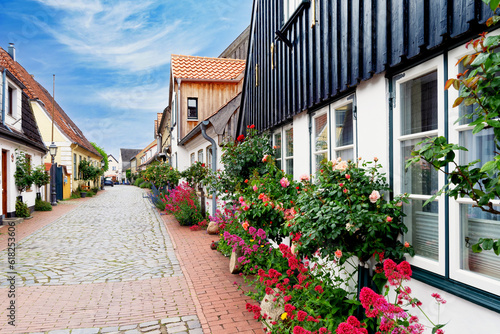 Fototapeta Naklejka Na Ścianę i Meble -  A row of picturesque former fishermen's houses, lovingly restored, with tall pink roses on a house wall in the fishing village of Holm in Schleswig, Germany