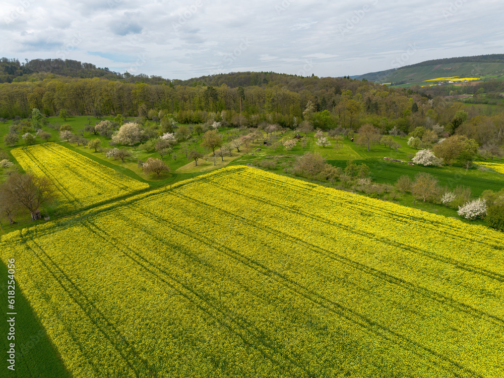 Landscape with yellow blooming rapeseed and other fields taken with the drone from above, in Germany