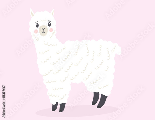 cartoon lama alpaca