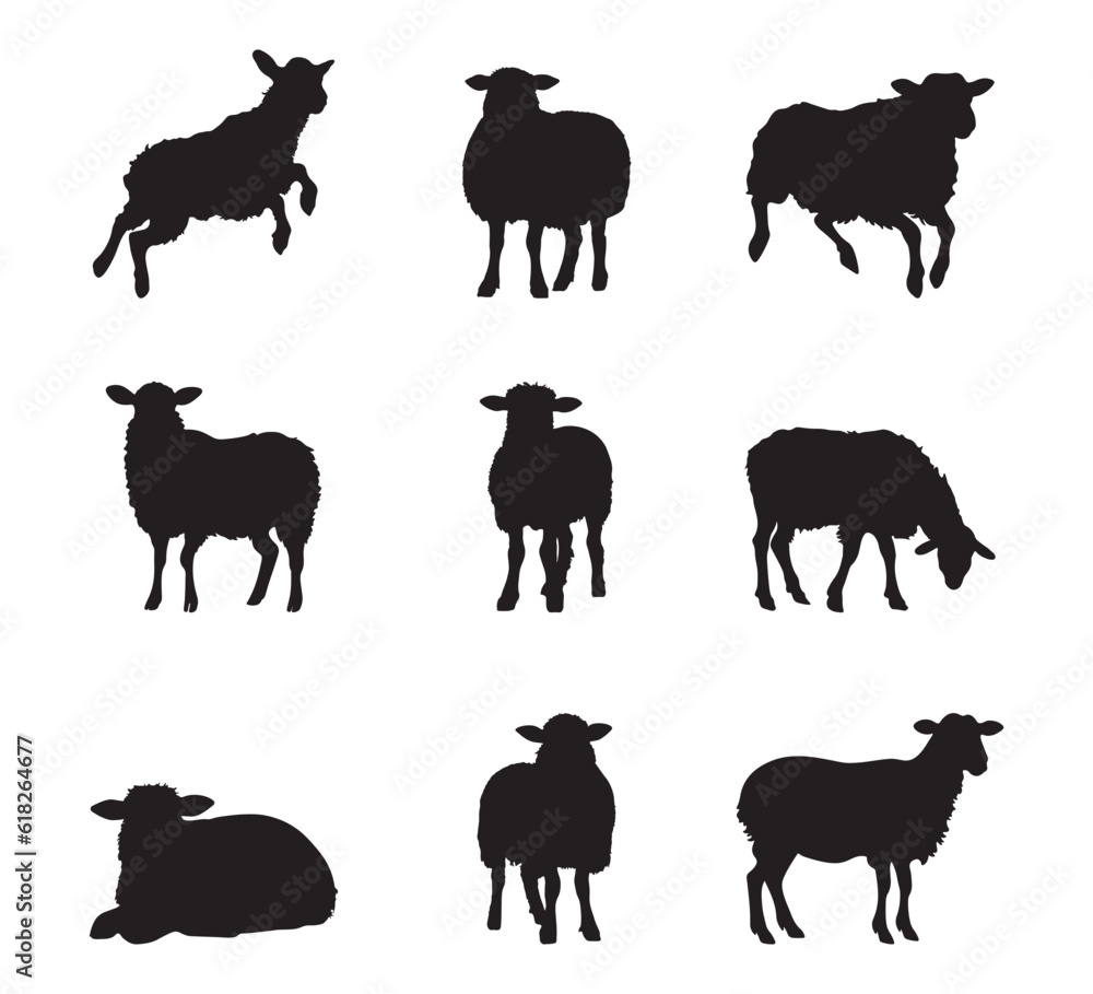 Sheep silhouette set - isolated vector images of wild animals