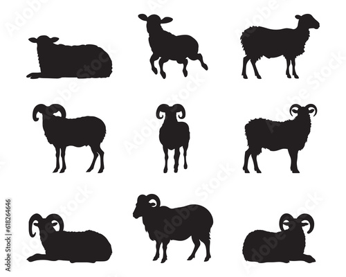 Sheep and silhouette set - isolated vector images of wild animals