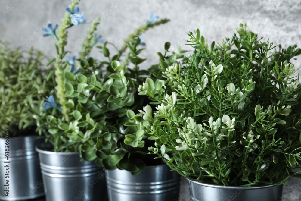 Fototapeta premium Different artificial potted herbs near grey wall, closeup