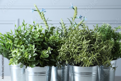 Different artificial potted herbs near light grey wall, closeup