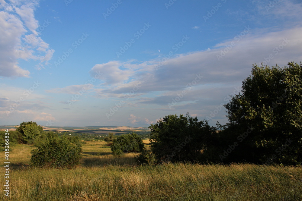 A field with trees and blue sky A field with trees and blue sky