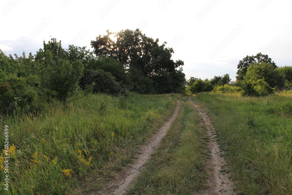 A dirt road through a grassy field A dirt road through a grassy field