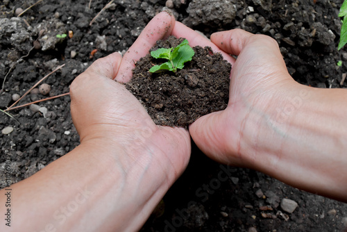 A woman with her hand holding a handful of soil with plant seeds.
