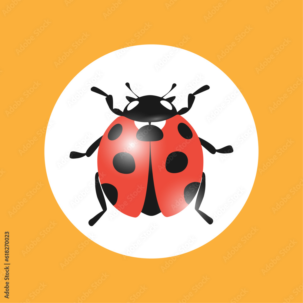 Obraz premium Ladybug cartoon icon. Vector illustration isolated on white background.