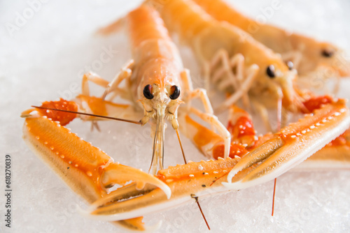 Close-up of a Norway lobster on ice, showcasing its freshness and succulent appeal. Seafood market setout and culinary concepts. 