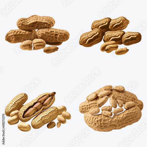 Beautiful Peanut in solid background, vector illustration