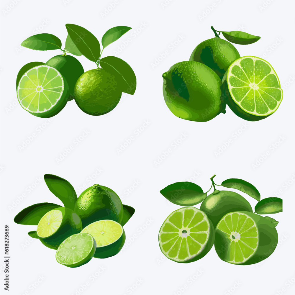 Lime set with slices and leaves isolated on white background. Vector illustration. Lime set with slices and leaves isolated on white background. Vector illustration.