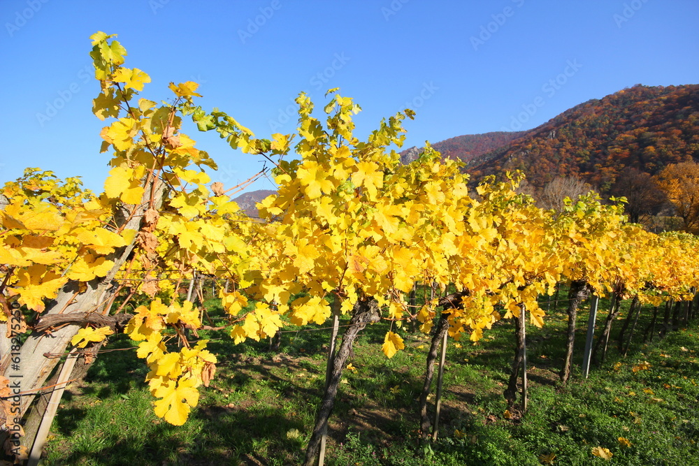 Herbst in der Wachau