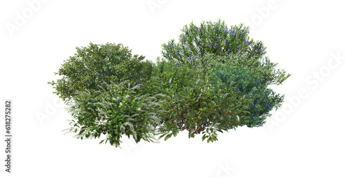 Small garden with multiple plants on transparent background