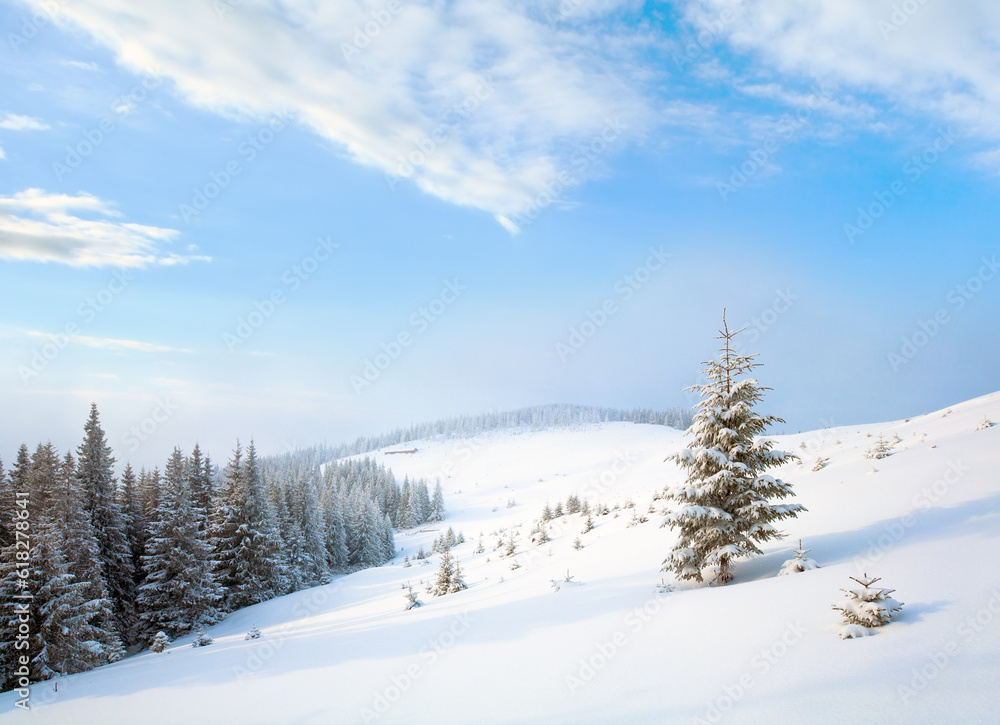 Winter calm dull mountain landscape with fir trees on slope (Kukol Mount, Carpathian Mountains, Ukraine) Winter calm dull mountain landscape with fir trees on slope (Kukol Mount, Carpathian Mountains, Ukraine)