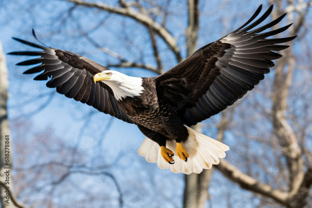 Obraz premium A image of a majestic eagle soaring through the sky, capturing its grace and power in