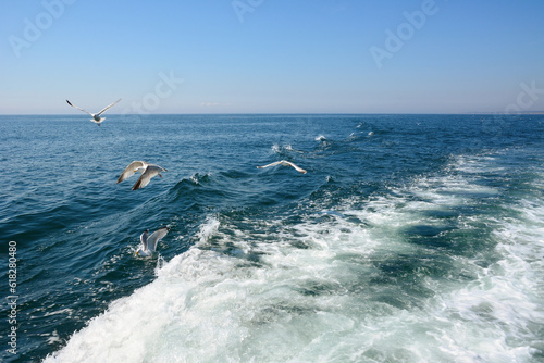 Seagull birds fly over the foamy sea waves behind the ship