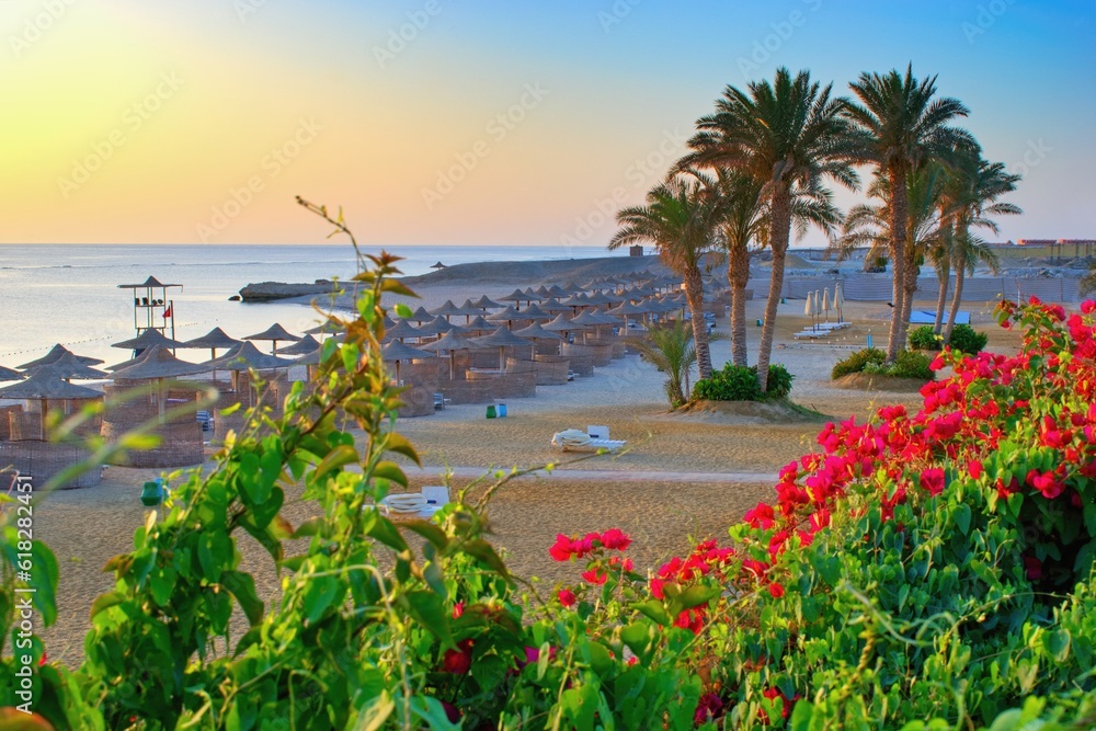 Fototapeta premium Idylic beach with palms and sun umbrelas, Red Sea, Egypt