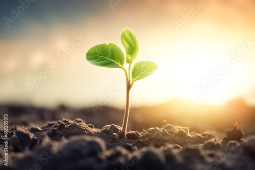 Growing plant grow up. Young plant in sunlight. Planting and germination. The Seedling is growing from the soil. Ecology concept. Nature Background.