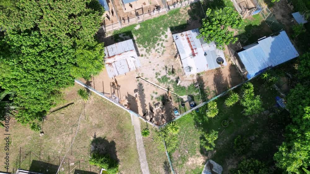 Establishing aerial shots look down the stray dog shelter