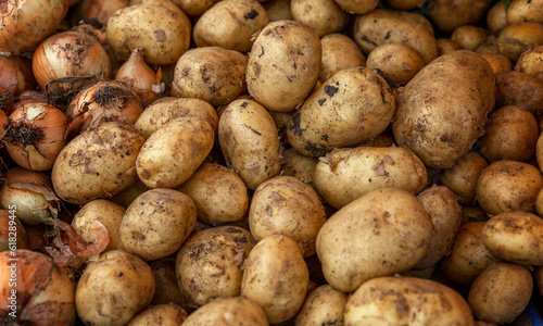 Lots of fresh young potatoes on the counter. Organic food and health. Background. Space for text.