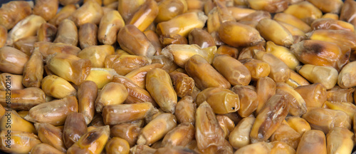 Peruvian chulpe corn kernels (raw roasted cancha nuts) for ceviche or cebiche (fried popcorn, maiz, cuzco, maize, toasted ancient grains) cooked product of Peru, Ecuador, Colombia, chulpi alimentos