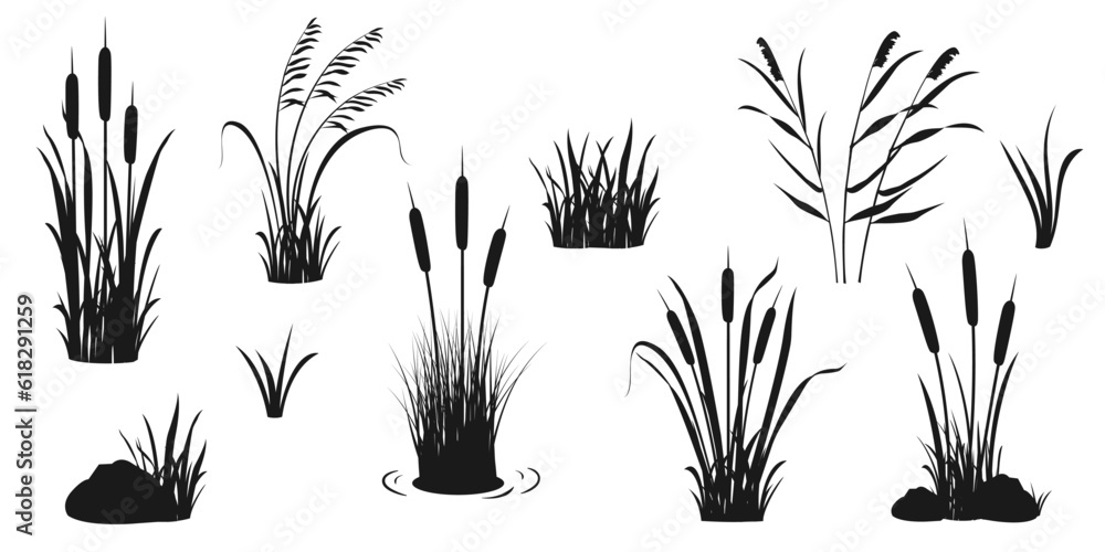 Silhouette elements of reeds and aquatic vegetation. Tall marsh grass for design. - obrazy, fototapety, plakaty 