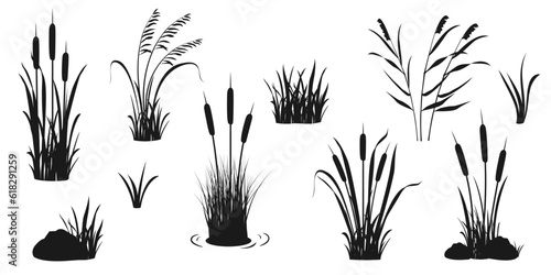 Silhouette elements of reeds and aquatic vegetation Fototapet