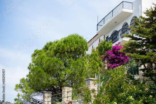 Foça (Phokai) is a small town in the north of Izmir. Stone house decorated with pink flowers, trees and ivy photo