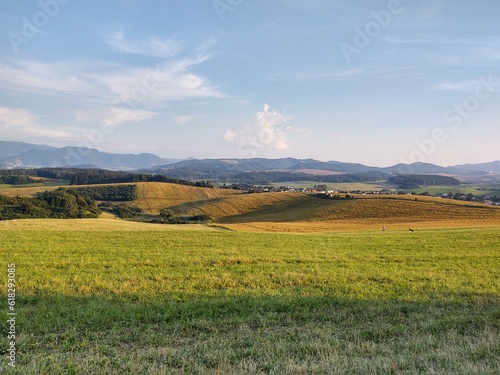 Wheat field during sunnrise or sunset. Slovakia	 photo