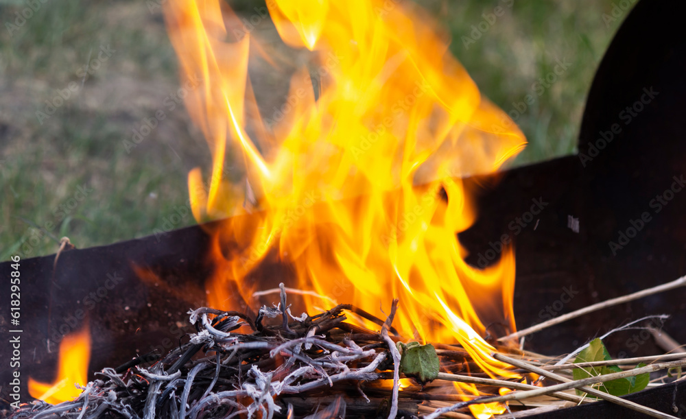 Campfire with big orange flame burning in the evening Campfire with big orange flame burning in the evening
