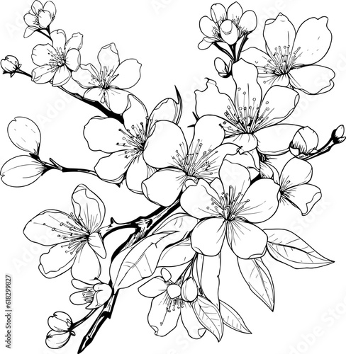 Cherry flower blossom, botanical art Fototapet