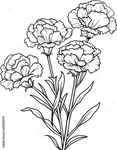 Carnations line art vector illustration set isolated on white. Flower black ink sketch. Modern minimalist hand drawn design.