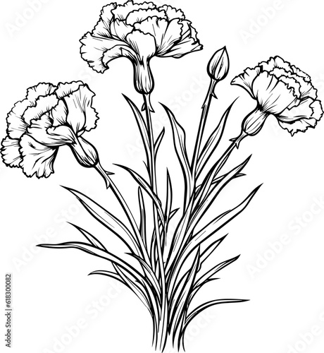Carnations line art vector illustration set isolated on white. Flower black ink sketch. Modern minimalist hand drawn design.