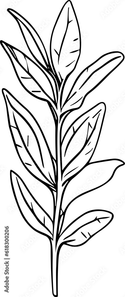 Meadow Herbs line art vector illustration set isolated on white. Flower black ink sketch. Modern minimalist hand drawn design. Meadow Herbs line art vector illustration set isolated on white. Flower black ink sketch. Modern minimalist hand drawn design.