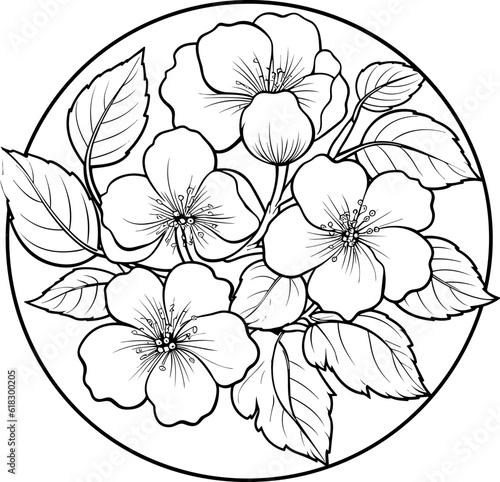 Cherry flower blossom, botanical art. Spring almond, sakura, apple tree branch, hand draw doodle vector illustration. Cute black ink art, isolated on white background. Realistic floral bloom sketch.