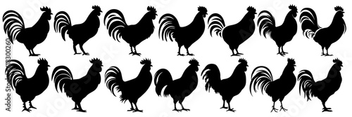 Chicken silhouettes set, large pack of vector silhouette design, isolated white background