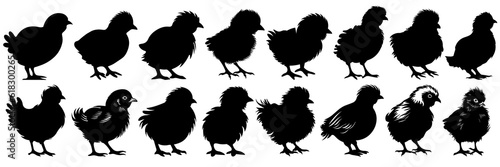 Chicken silhouettes set, large pack of vector silhouette design, isolated white background