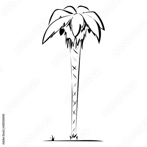 Palme