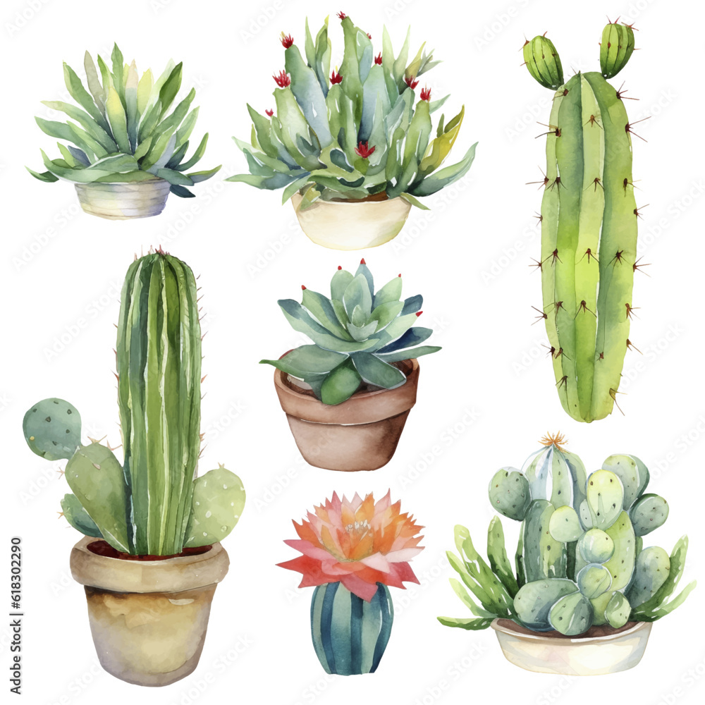 Fototapeta premium Cactus Watercolor Illustration.Succulent and Cacti Prints Elements