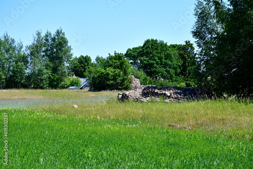 A view on a vast lush field covered with crops ready to be harvested and some grass, with vast forests, moors, and other pasturelands visible in the distance spotted on a sunny summer day in Poland