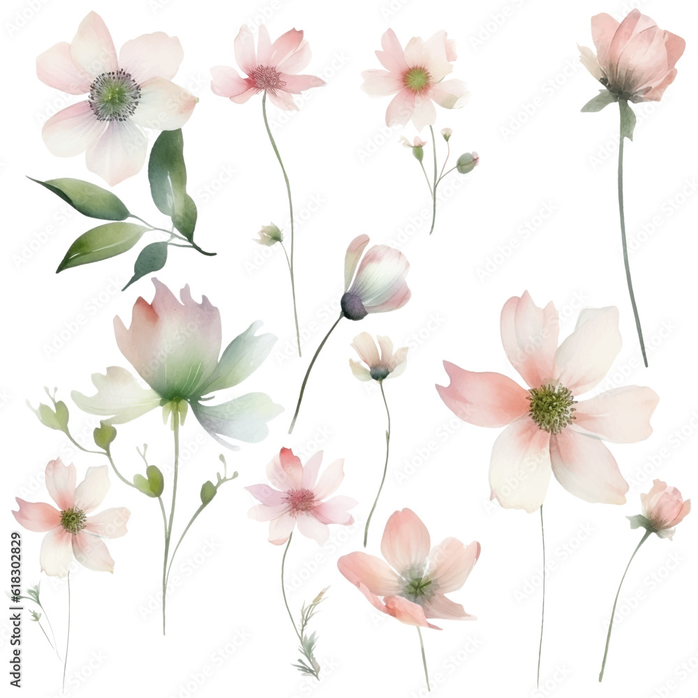 Watercolor Flower Collection: Pink Floral Illustrations for Simple and Elegant Bridal Designs, Wallpaper, Greetings, Wallpapers, Fashion