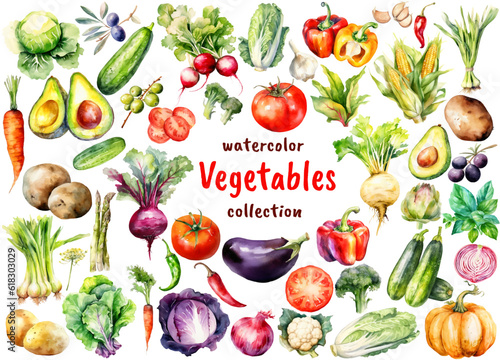 Watercolor Vegetables and Lettuce collection. Hand drawn fresh food design elements isolated on white background.